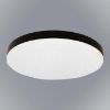 Obrazek Plafon Sierra Black EK77852 18W SKY PL1
