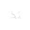 Obrazek Gres Statuario Vera Carving Rekt 60/120