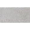 Obrazek Gres Galactic Lightgrey 60/120