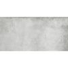 Obrazek Gres Alloy Pearl 60/120