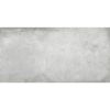 Obrazek Gres Alloy Pearl 60/120