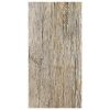 Obrazek Gres Century Beige 31/62