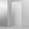 Obrazek Ścianka WALK-IN Rode 100x195 CZ CHR