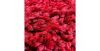 Obrazek Dywan Shaggy Dream 1,6/2,3 7126 Red