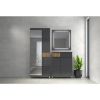 Obrazek Szafa 2d Onyx Lustro V2 Pacific Walnut/Anthracite