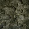 Obrazek Dywan Lima Rabbit Fur 0,8/1,5 MRD-642 zielony N 1 