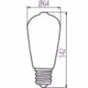 Obrazek Żarówka Filament XLED ST64 7W-WW