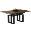 Kolor - dąb monastery