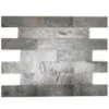 Obrazek Kamień Elewacyjny Silver Shine