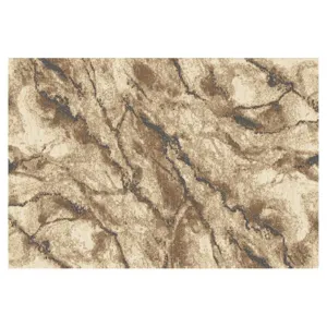 Obrazek Dywan Frisee Phoenix 0,8/1,5 6056 744
