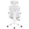 Obrazek Krzesło Obrotowe Control Series Lv0655 Biały