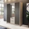 Obrazek Szafa Nelly 3D Lustro Cashmere/czarny pop