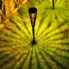Obrazek Lampa Solarna EKO1450 Flame 1700K