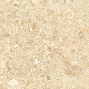 Obrazek Płytka tarasowa Terrazzo Stone Warm Beige 20 mm 59,3/59,3 Rekt.