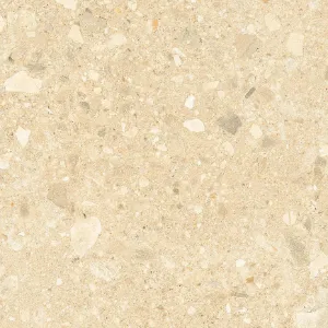 Obrazek Płytka tarasowa Terrazzo Stone Warm Beige 20 mm 59,3/59,3 Rekt.