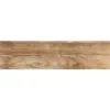 Obrazek Terakota Foresta Bronzo 15,5/60,5