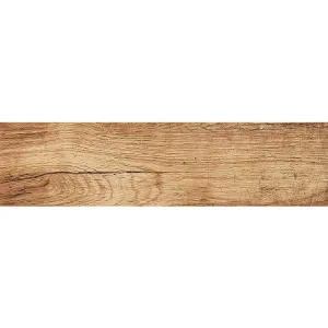 Obrazek Terakota Foresta Bronzo 15,5/60,5