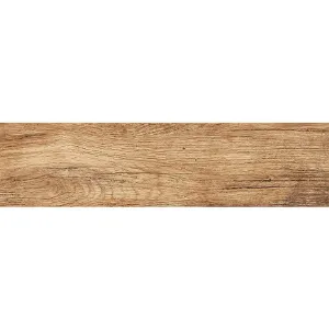 Obrazek Terakota Foresta Bronzo 15,5/60,5
