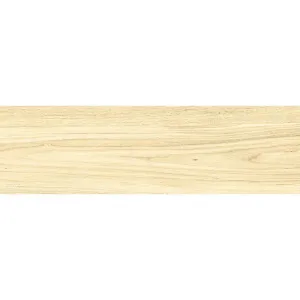 Obrazek Rowanwood Light Beige 60/17,5