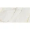 Obrazek Joy Gold CCR111-1 30/60 Rett.