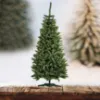 Obrazek Choinka świerk natural 220 cm.