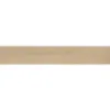 Obrazek Terakota Eternalwood roble 16,5/100