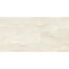 Obrazek Belveder Beige 59,8/119,8 Rect.