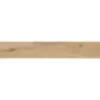 Obrazek Płytka gresowa GPT 1011 BEIGE 19,8/119,8