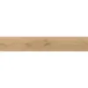 Obrazek Płytka gresowa GPT 1011 BEIGE 19,8/119,8