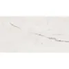 Obrazek Amazonia Stone Str. 59,8/119,8