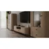 Obrazek Rtv Ovalio 321 2f 1s Dąb Cremona